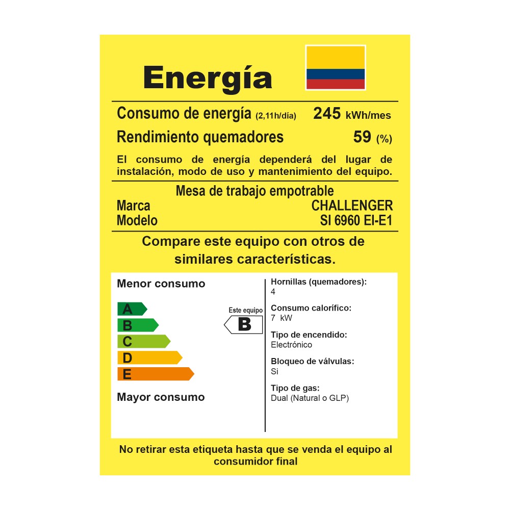 Estufa de Empotrar Challenger SI 6960 - Imagen 2